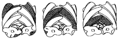 螺桿空壓機的壓縮過程